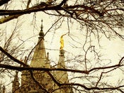 Image of Salt Lake City LDS Temple Art 006