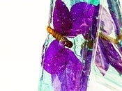 Image of Butterfly Candy 