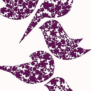 Image of Wren