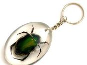 Image of Bug KeyRing  GREEN BEETLE