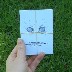 Image of Zine - A folded drawing - Sulphur-Crested Cockatoo