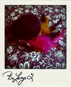 Image of Petit Chapelier - Mini Mad Hatter