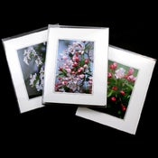 Image of Spring Blossoms - Boxed Cards