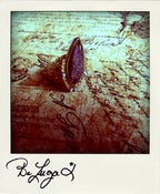 Image of Montespan (bague poison - pillbox ring)
