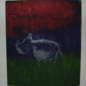 Image of Rino