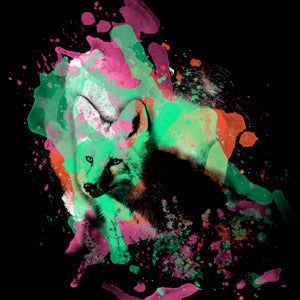 Image of Smaller Than Wolves