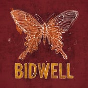 Image of Bidwell Self Titled EP