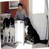 Image of IQAIR- PURIFIERS - HEALTH PRO PLUS