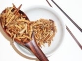 Image of Bamboo Worms