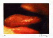 Image of Signed A4 sized C-print  - Slip