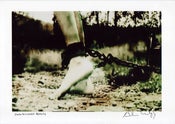 Image of Signed A4 sized C-print  - Undisclosed Beauty