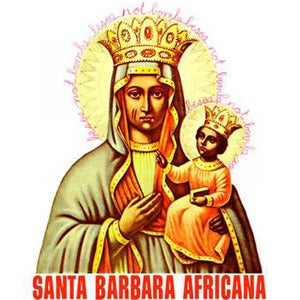 Image of santa barbara tee