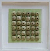 Image of Sea Urchins - 50x50cm