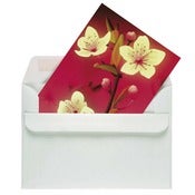 Image of Pink blossom (6 cards)