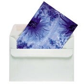 Image of Chrysanthamums (6 cards)