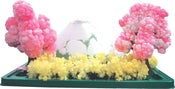 Image of MAGIC GARDEN