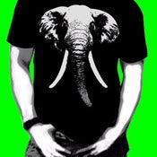 Image of elephant 104