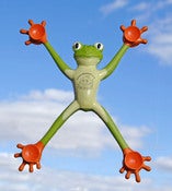 Image of Po-Po the Frog