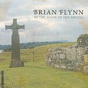 Image of In the Sight of the Angels-Brian Flynn