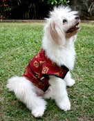 Image of Happi Coat - Y17 - Red Daruma