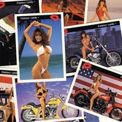 Image of "FANTAZY" SEXY LADIES TRADING CARDS