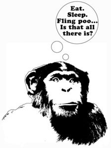 Image of Monkey, more to life tee