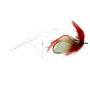 Image of Tim's Moppet