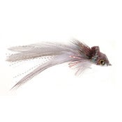 Image of Swimming Baitfish