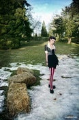 Image of Wonderland