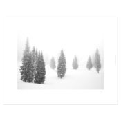 Image of "Alpine Springs"
