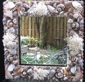 Image of Boca Grande