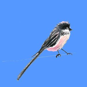 Image of Bird on a wire interiors picture