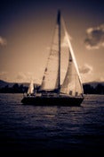 Image of Sail