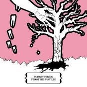 Image of IN FIRST PERSON / STORM The BASTILLE split LP