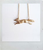 Image of Young Timmy the Fox