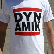 Image of DYN-AMIK