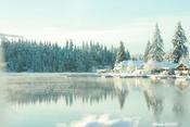 Image of a cold winter (photo)
