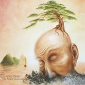 Image of The Virgin Misconception