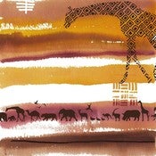 Image of Safari Study Three