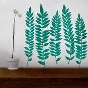 Image of Fern