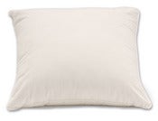 Image of Kapok 18"x18" Pillow Insert - SAMPLE SALE