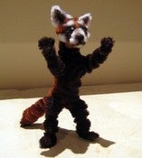 Image of Red Panda