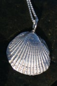 Image of Shell Necklace Clam 3D
