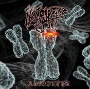 Image of NEW ALBUM - KARIOTYPE -