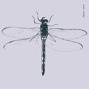 Image of Skibunny - Aah Ooh 7" vinyl (includes free download code)