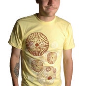Image of Spores