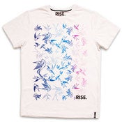 Image of Swallows