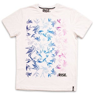 Image of Swallows