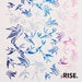 Image of Swallows