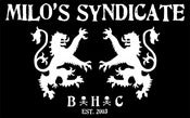 Image of Lions 08 Sticker